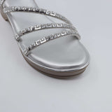 Silver Radiance